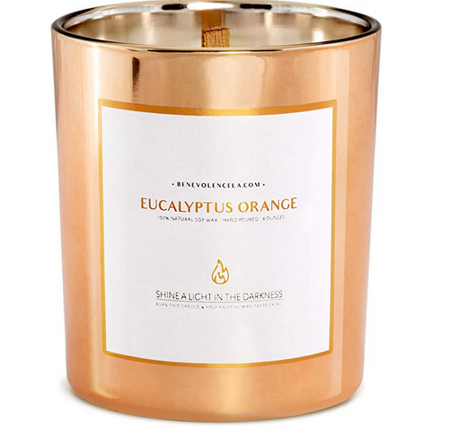 Premium Eucalyptus & Orange Scented Candle