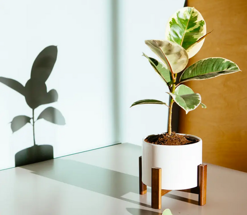 Sonder Planter Pot - FOSSIL WHITE